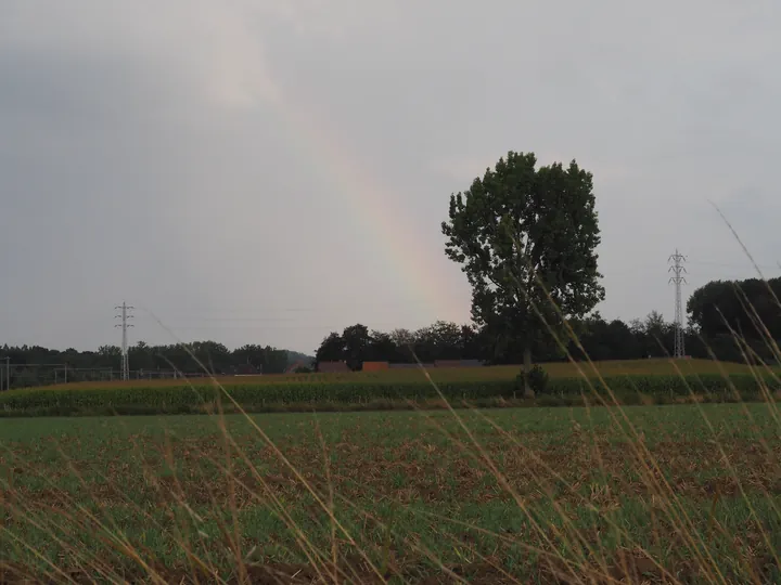 Regenboog in Roborst (België)